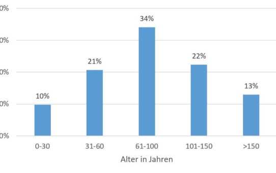 Hidden Champions sind Familienunternehmen – welchen Einfluss hat dies auf den Erfolg?