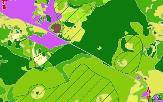 Extending the Copernicus Local Land Component