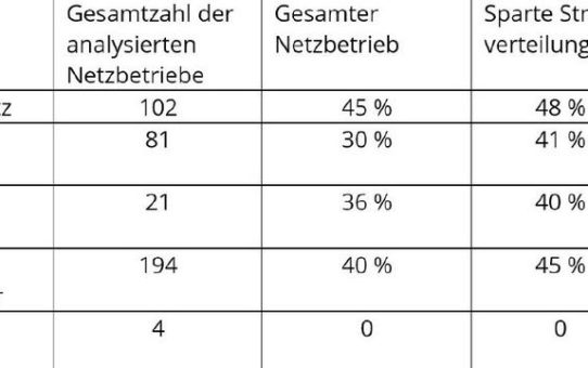 Hälfte der Netzbetreiber erwirtschaftet Verluste