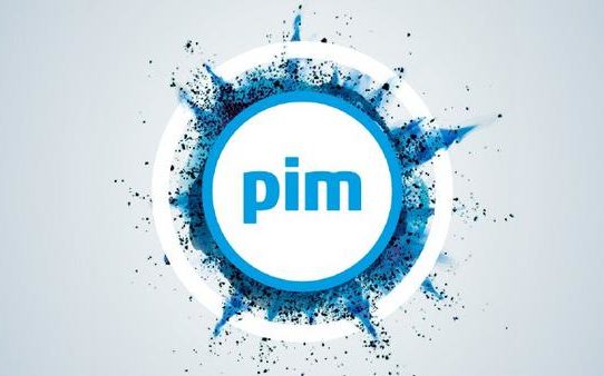 PIM-Projekte erfolgreich umsetzen