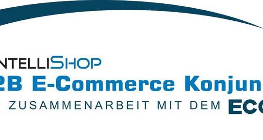 Jeder zweite B2B-Online-Shop setzt auf Personalisierung