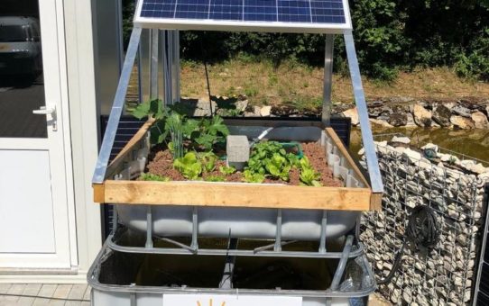 Aquaponic Hydroponic in Kombination mit einer Fotovoltaik-Solaranlage