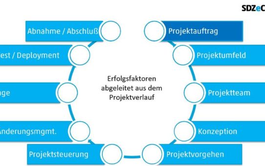 Erfolgreiche Umsetzung von IT-Projekte -  am Beispiel PIM/MDM