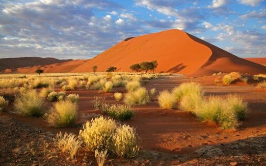 Osino Resources: Erfolg in Namibia mit australischem Explorationskonzept