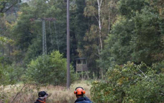 Alle Kunden bekommen wieder Strom