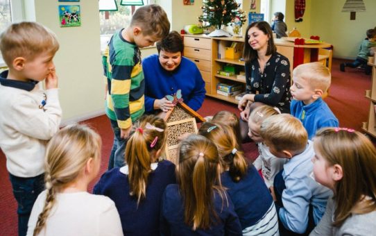 Kinder beobachten das Leben der Insekten