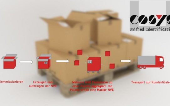NVE – Kommissionierung für die direkte Filialbelieferung