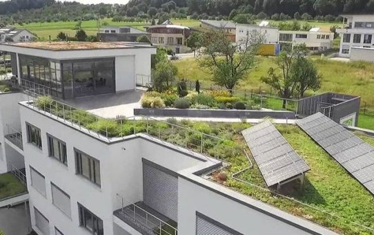 Drainroof als ideale Lösung für Dachgärten