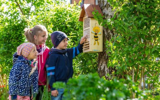 Kinder erforschen Leben der Insekten