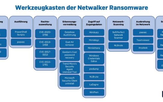 Tiefer Blick in Cybergangsters Werkzeugkasten: Die Methode Netwalker