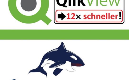 QlikView Datenaufbereitung ! Mit unserer Software 12x schneller! Data Wrangling vor (und außerhalb) von QlikView!