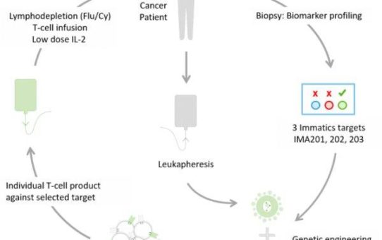 Immatics Announces European Clinical Expansion of its Adoptive Cell Therapy Programs