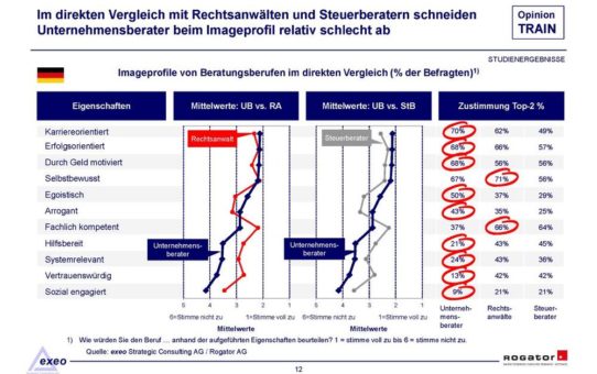 "Unternehmensberater in der Krise"