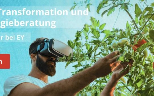 Karrierefelder bei EY - Digitale Transformation und Technologieberatung