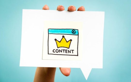 Online-Leseverhalten und Content-Wahrnehmung in den B2B IT-Fachmedien