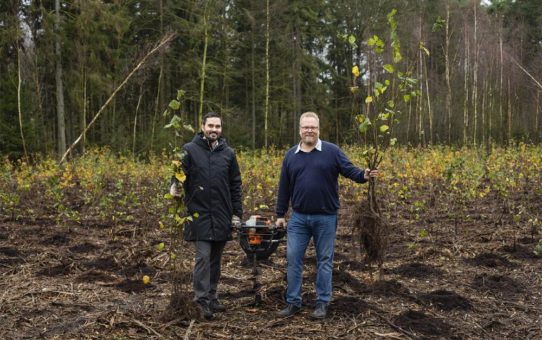 Tausend Bäume für eine saubere Umwelt