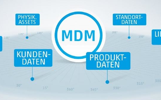 Master Data Management umsetzen – aber wie?