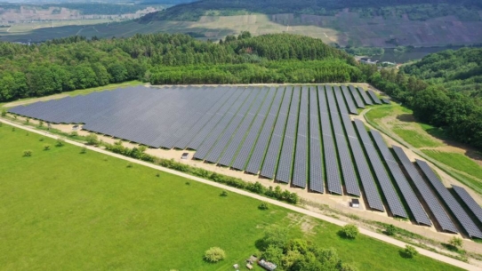 Stadtwerke realisieren Solarpark im Einklang mit rheinland-pfälzischem Weinbau