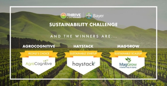 Nachhaltige Landwirtschaft: SVG Ventures | THRIVE und Bayer geben Gewinner der Sustainability Challenge bekannt