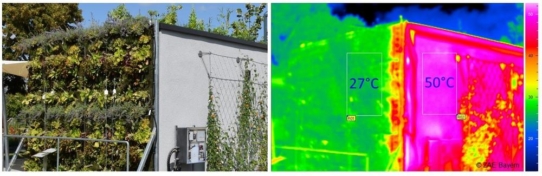 Leben in einer grünen Umgebung! - Fassaden- und Dachbegrünungen als wärmedämmende, kühlende und klimafreundliche Gebäudekomponenten