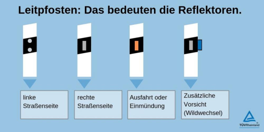 Frühjahrsnebel: Leitpfosten helfen bei der Orientierung