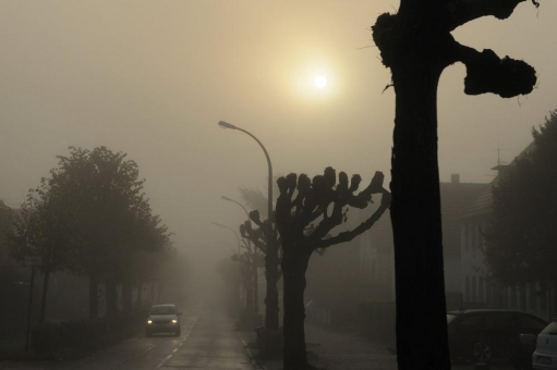 Nebelschlussleuchte am Pkw: Nur bei sehr starkem Nebel einschalten