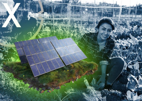 Agri-PV Baufirma und Solarfirma für Agri-Photovoltaik (Agrivoltaics) in Brandenburg gesucht? Solar für die Landwirtschaft