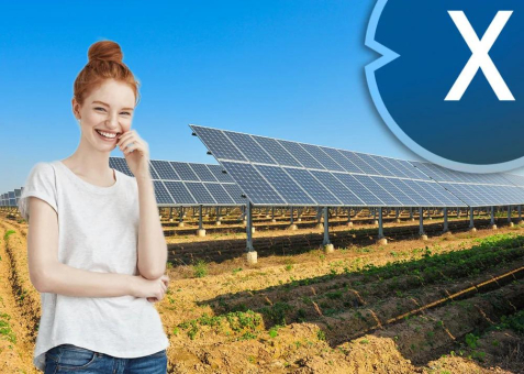 Agri-Photovoltaik für Schleswig-Holstein: (Agri PV Bau und Solar Firma gesucht? Top Ten Solar für die Landwirtschaft & Suche Tipps