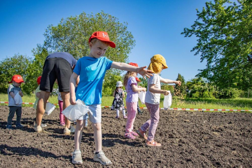 150.000 Energie-Bienen summen wieder durch Weimar: Stadtwerke und der Eigenbetrieb Kommunalservice pflanzen zum Saisonstart eine neue Blumenwiese