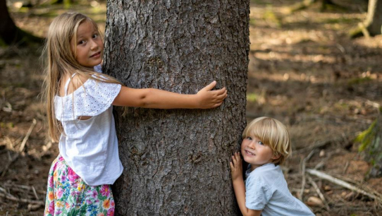 E-Mobilitätsinnovator ELARIS stellt Partnerschaft mit Waldschutzinitiative Planet Tree vor: Ein Baum für jedes E-Auto