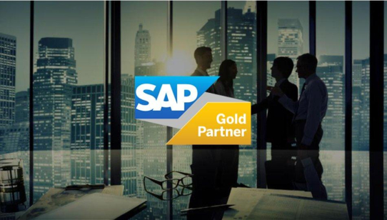 projekt0708 erneut SAP Gold Partner