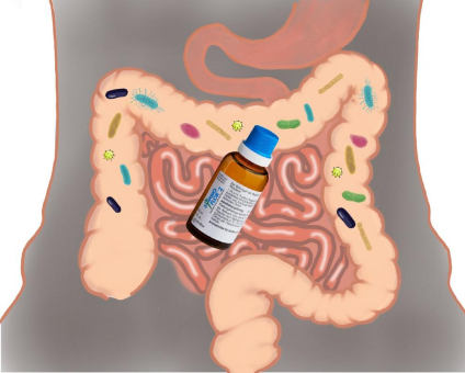 Hilfe durch bakterienhaltige Arzneimittel beim Reizdarmsyndrom