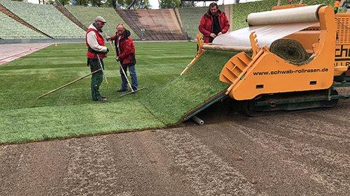 Die mit dem Gras flüstern