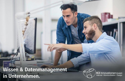 Wissenspotenzial & Datenmanagement in Unternehmen