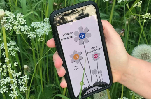 TU Ilmenau: Pflanzenbestimmung mit Flora Incognita App im März verzehnfacht