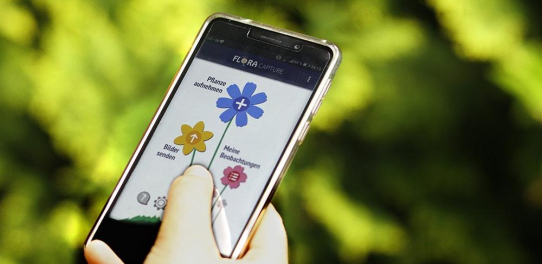 "Flora Incognita" - Pflanzenbestimmung mit dem Smartphone