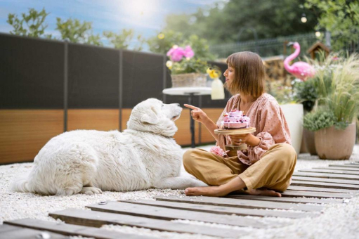 Solarzaun für Garten und Klima