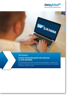 Smarte Vorbereitung für den Wechsel zu SAP S/4HANA