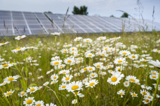 Neue Wege beim Ausbau der Photovoltaik