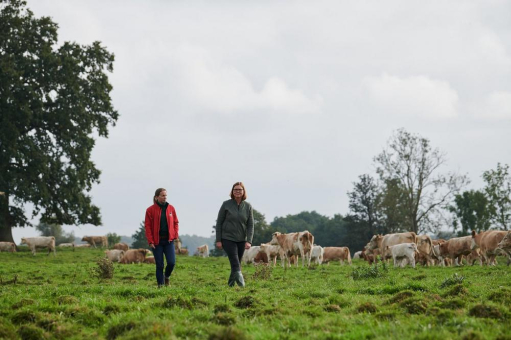 Nachhaltigkeit und Klimawandel im Blick