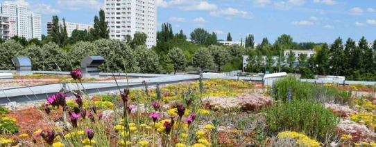 Photovoltaik auf Flachdächern: Das Umkehrdach und seine Vorteile