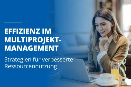 Was ist Multiprojekt- und Ressourcenmanagement?