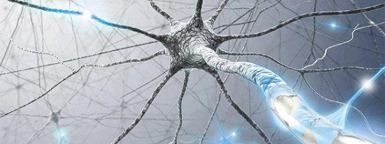 Mit frischer Unterstützung in die Zukunft der Neurotechnologie