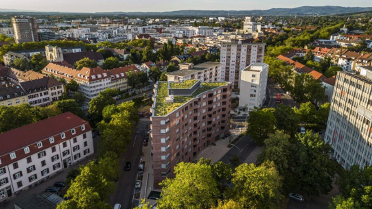 Wie Dachbegrünung das Regenwasser zähmt