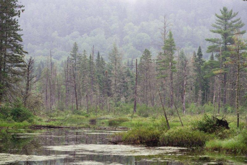 Arctic Fox Lithium: LiDAR-Vermessung soll zusätzliche Daten zu James Bay-Lithiumprojekten liefern