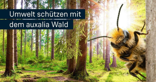 auxalia Wald wächst weiter: Ein Erfolg für die Umwelt