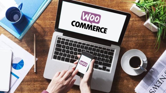 Neues Payment-Plugin für WordPress und WooCommerce von Novalnet