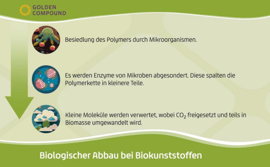 Bioplastik im Test: Wie funktioniert der biologische Abbau wirklich?